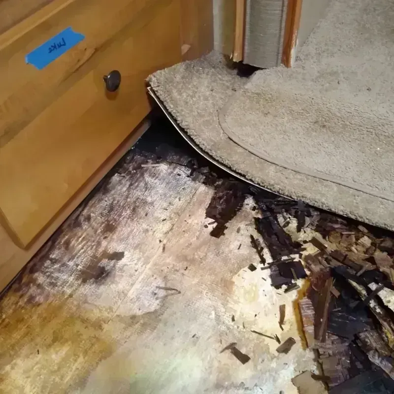 Best Wood Floor Water Damage Service in Unionville, GA